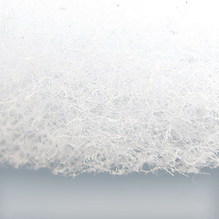 Exfoliating Buff Close Up