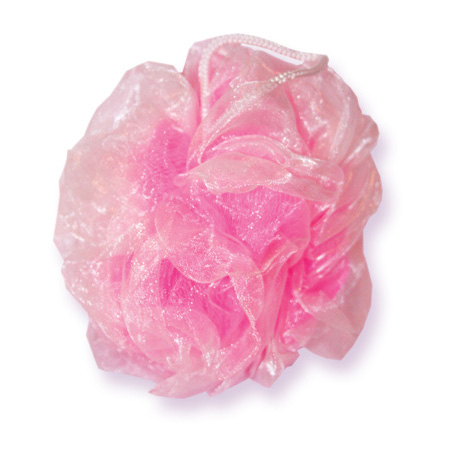 Organza Sponge