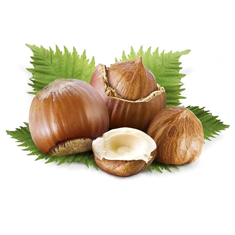 Sperlari Hazelnut