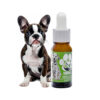 K9 Paw CBD Oil