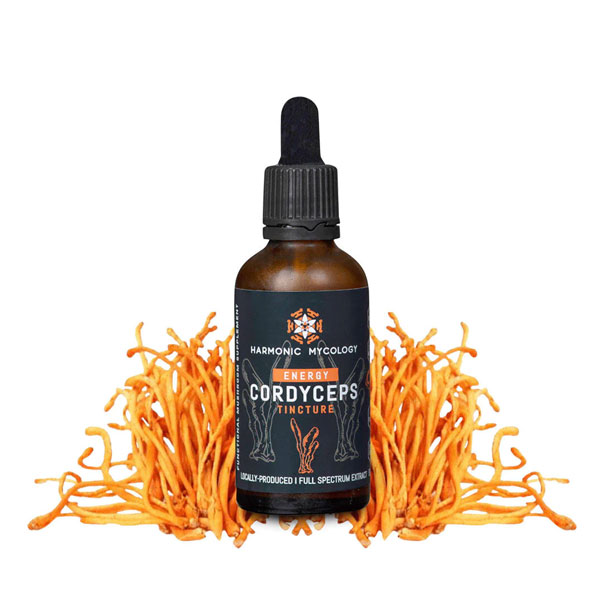 cordyceps tincture.jpg