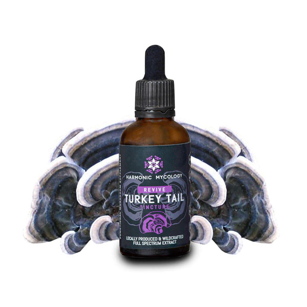 turkey tail tincture.jpg