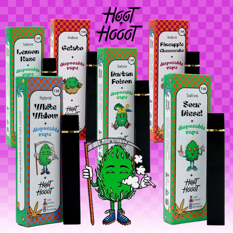 hooot Hoot Category Image